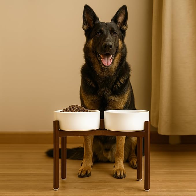 SPUNKYJUNKY Raised Ceramic Dog Bowls Set with Non-Slip Acacia Wood Stand for Large Sized Dog(60.87 OZ, White)