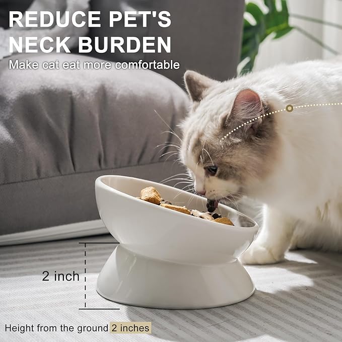 YauYik Cat Bowls Elevated, Raised Cat Food Bowls for Indoor Cats, Puppy, Ceramic Tilted Kitty Dish, 6 Inch Whisker Friendly Anti Vomit Pet Feeding Station, Dishwasher Safe (White, 2 Pack)