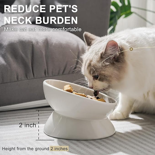 YauYik Cat Bowls Elevated, Raised Cat Food Bowls for Indoor Cats, Puppy, Ceramic Tilted Kitty Dish, 6 Inch Whisker Friendly Anti Vomit Pet Feeding Station, Dishwasher Safe (White, 2 Pack)
