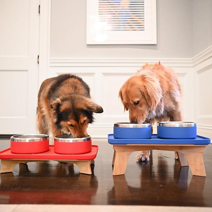 Trot Pets Elevated Dog Bowls | Stainless Steel Raised Bowl Set for Small, Medium, or Large Dogs | Non-Slip Food and Water Slow Feeder | Durable, BPA-Free, Anti-Skid, Dishwasher Safe (Sky, Small)
