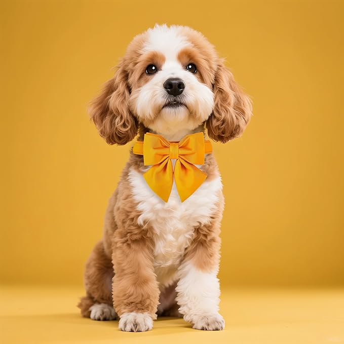 Maca Bates Mango Yellow Dog Collar with Cute Solid Sailor Bow Tie for Small Girl Boy Dogs,Adjustbale Durable Breakaway Soft Collars with Bowtie for Female Male Puppy,Pet with Metal Buckle