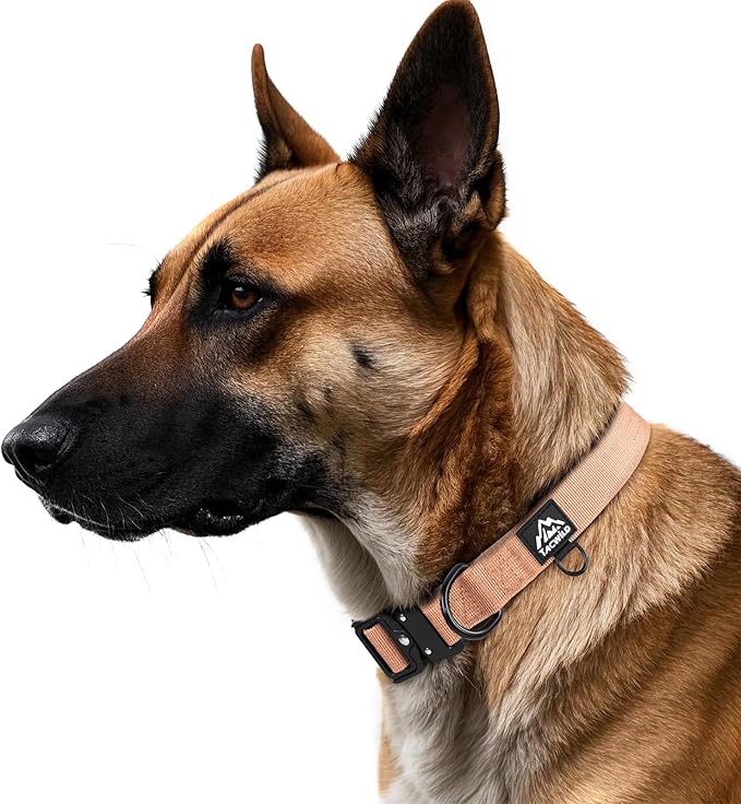 Dog Collar for Large Dogs - Adjustable, Chew Proof Nylon Collar with Metal Quick Release Buckle and D-Ring for Dog Tags (Carolina Blooms, 2XL(1.5''Width, Fit 20''-32''))