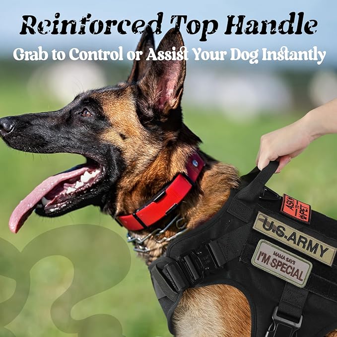 rabbitgoo Tactical Dog Harness for Large, Heavy Duty Pet Harness with Handle, No-Pull Service Vest Large Breed, Adjustable Military Dog Vest for Training Hunting Walking, Black, XL