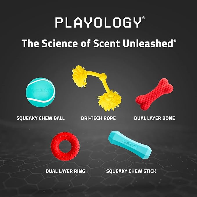 Playology Dog Toys | Dual Layer Ring Durable Chew Toy for Aggressive Chewers | Jumbo Beef Scented Toy - Easy to Clean and Made from Non Toxic Materials