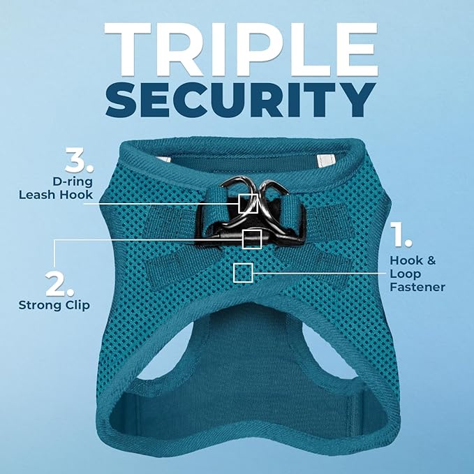 Best Pet Supplies Voyager Step-in Air Harness - All Weather Mesh, Reflective, No Pull Harness for Dogs, Cats - Secure with Hook & Loop Fastener, Buckle, Double D-Rings - Turquoise, S