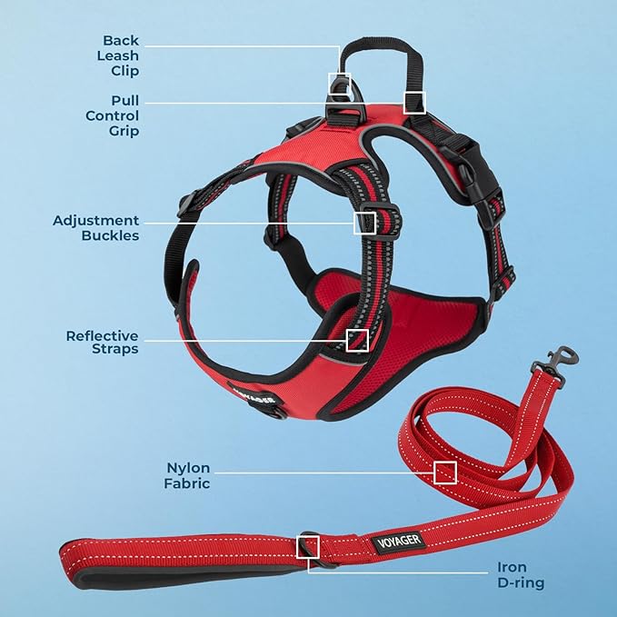 Voyager Dog Harness Dual Leash Attachment No-Pull Control Adjustable Soft but Strong Pet Harness for Medium and Large Dogs with 3M Reflective Technology, Leash Set Red Nylon, M (Chest: 20-25")