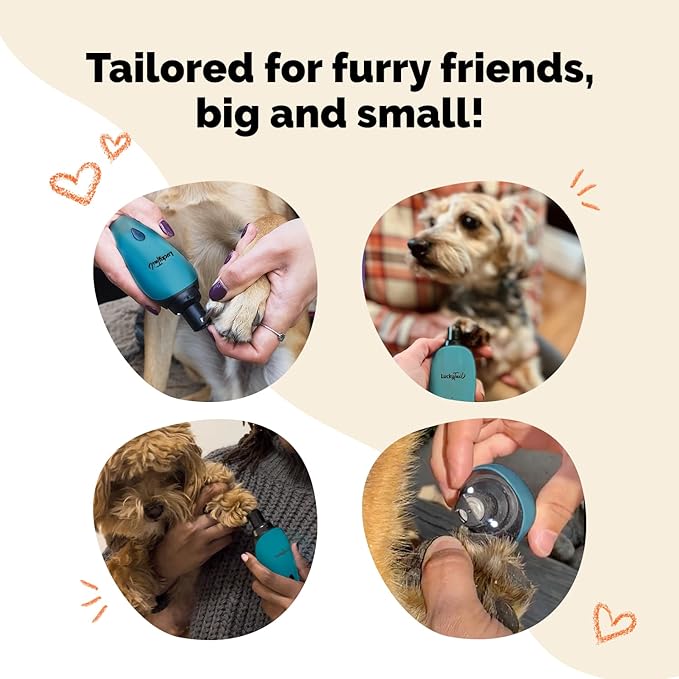 LUCKY TAIL Pet Nail Grinder for Dogs and Cats - Super Quiet and Low Vibration Electric Dog Nail Grinder with 2 LED Lights - USB Rechargeable and Cordless - 2 Speeds - Small to Large Pets - Teal