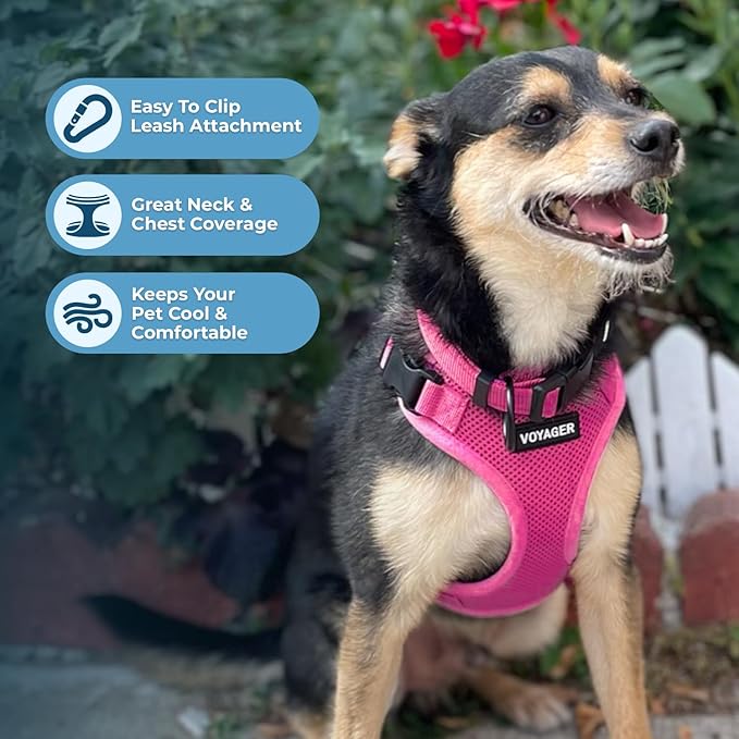 Voyager Step-in Pet Harness - All Weather Mesh, Adjustable Step in Harness for Cats and Dogs by Best Pet Supplies - Fuchsia, XS