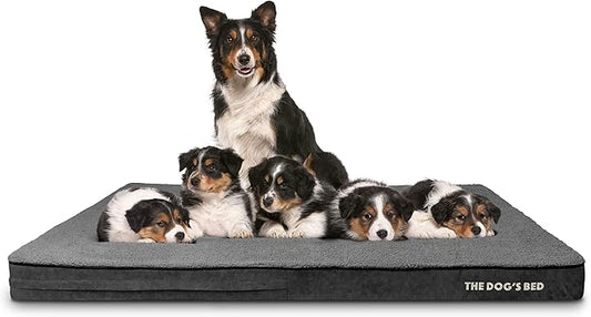 The Dog’s Bed Orthopedic Memory Foam Dog Bed Mattress, PlushFabric, Grey Plush, XXXL, 4-Inch