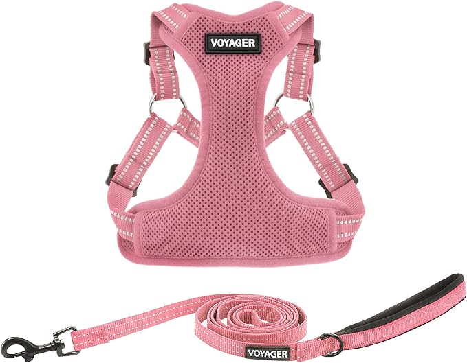 Best Pet Supplies Voyager Adjustable Step-in Flex Breathable Mesh Dog Harness for Small Medium Large Dogs Leash Set (Pink), M