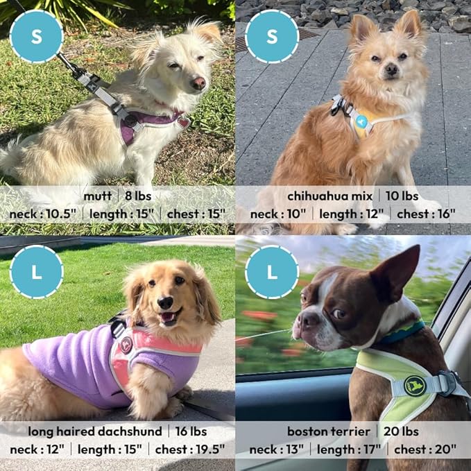 Gooby Simple Step in III Harness - Blue, Large - Small Dog Harness with Scratch Resistant Outer Vest - Soft Inner Mesh Harness for Small, Medium Dogs