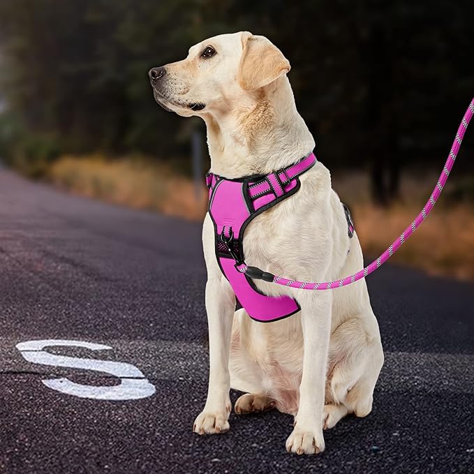 IVY&LANE No Pull Dog Harness for Large Dogs, Dog Vest Harness with Leash, Safety Belt and Storage Strap, Fully Adjustable Harness, 360° Reflective Strip, Soft Handle (Fuchsia Pink, XL)