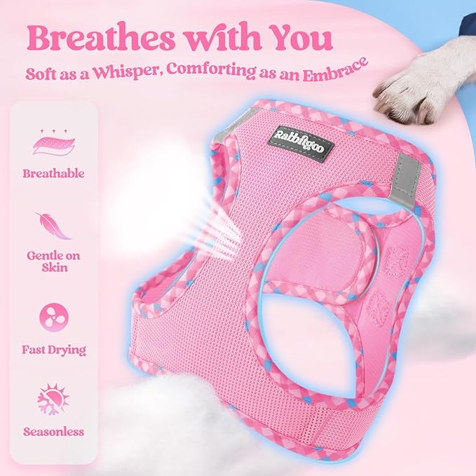 rabbitgoo Dog Harness Small Sized and Leash Set, Step in Soft Light Puppy Vest, Breathable Mesh Pet Harness, Reflective for Safe Easy Walking, Pink & Plaid Trim S