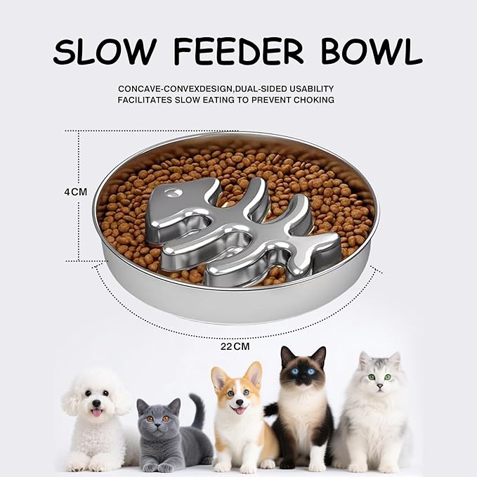 Stainless Steel Slow Feeder Dog Bowl, 304 Grade MetalPet Food Bowl, Teddy Cat Design Insert, HealthyFeeding Solution for Dogs, Cats