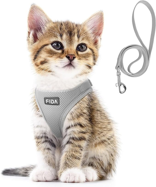 Fida Comfy Dog Harness with Leash, Cat Vest Harness Escape Proof, Breathable Lightweight Soft Mesh, Adjustable Reflective Step-in Harness for Puppy Toy Breeds & Extra-Small Pet (XXS, Grey)