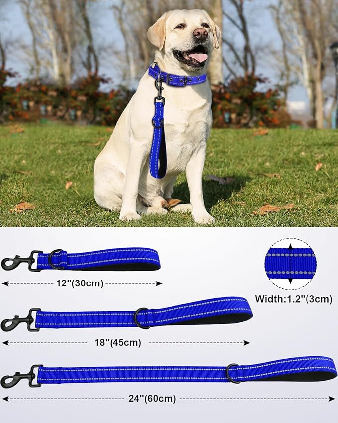 Joytale Strong Short Dog Leash 1FT, 1.2 Inch Wide, Heavy Duty, Padded Handle for Traffic Control, Reflective Leash for Medium and Large Dogs Walking Training, Royal Blue