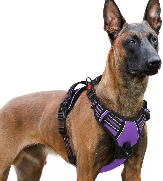 rabbitgoo Dog Harness for Large, No Pull Pet Harness with 3 Buckles, Adjustable Soft Padded Vest with Control Handle, Walking Reflective Pet Vest for Extra Large Dogs, Purple, XL