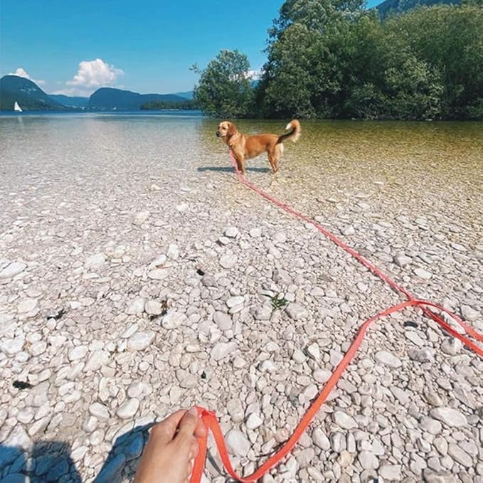Long Dog Leash Waterproof Recall Training Lead Outdoor Long Line Great for Training, Beach, Play, Camping, or Backyard