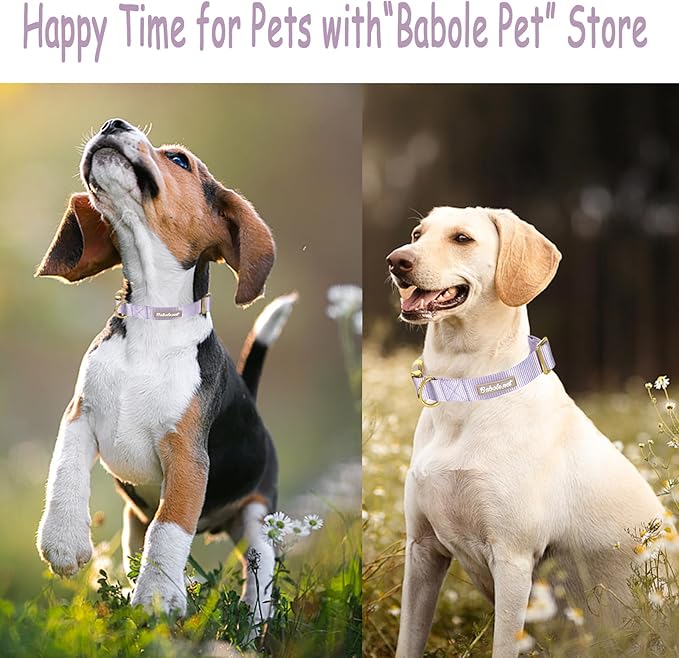 Nylon Dog Collar - Adjustable Lavender Soft Webbing Dog Collars for Small Medium Large Dogs Boy Girl Puppy Collar with Safety Metal Buckle S