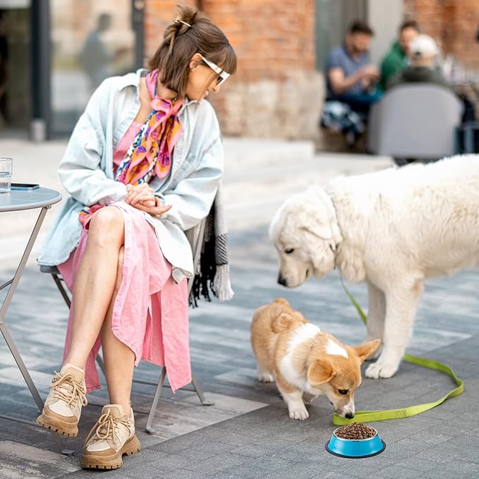 Roshtia 12 Pcs Stainless Steel Cat Bowls 6. 4 in 7 oz Metal Food Bowls for Cat Small Dogs Stackable Pet Dishes for Puppy Colorful Pets Feeder Bowl with Anti Skid Silicone Base for Puppy Kitten