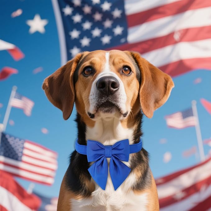 Maca Bates Klein Blue Dog Collar with Cute Solid Sailor Bow Tie for Small Girl Boy Dogs,Adjustbale Durable Breakaway Soft Collars with Bowtie for Female Male Puppy,Pet with Metal Buckle