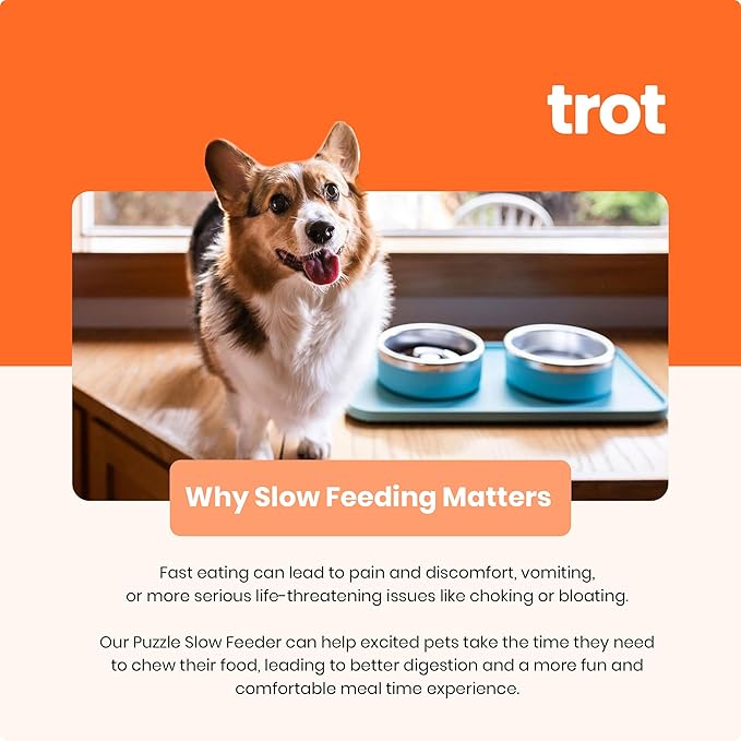 Trot Pets Elevated Dog Bowls | Stainless Steel Raised Bowl Set for Small, Medium, or Large Dogs | Non-Slip Food and Water Slow Feeder | Durable, BPA-Free, Anti-Skid, Dishwasher Safe (Slate, Small)