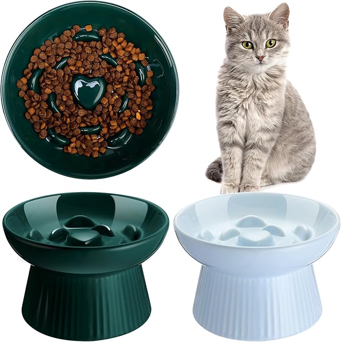 Tioncy 2 Pcs Raised Cat Slow Feeder Bowl Ceramic Elevated Cat Dog Food Bowl No Spill High Edge for Dry Wet Food and Water Easy to Clean, Dishwasher Safe (Dark Green,Blue)