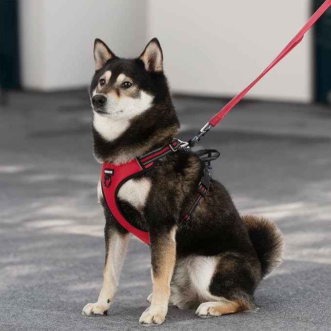 Voyager Dog Harness Dual Leash Attachment No-Pull Control Adjustable Soft but Strong Pet Harness for Medium and Large Dogs with 3M Reflective Technology, Leash Set Red Nylon, XL (Chest: 28-37")