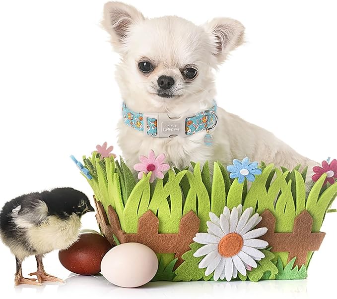 Unique style paws Easter Dog Collar Plastic Buckle Puppy Collar with Pendant Blue Sports Rabbit Ball Egg Puppy Collars for Small Medium Large Boys Girls Dogs