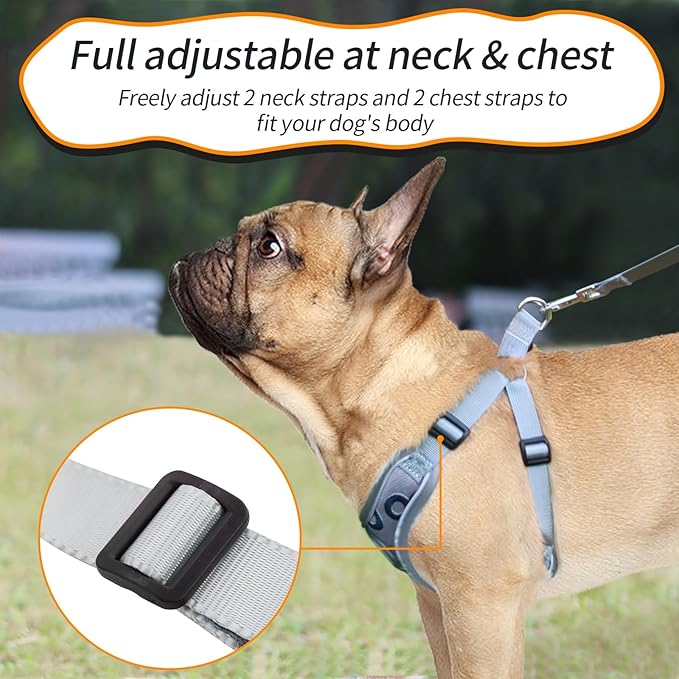 Dog Harness with Leash Set, Reflective Strips Step in with Breathable Padded Vest Harness for Small Dogs Running (S, Gray with Circle)