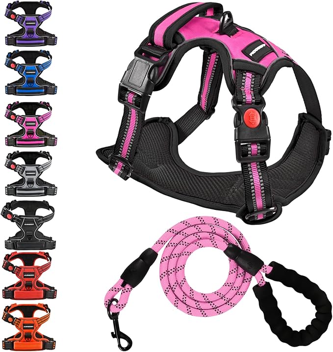 No Pull Dog Harness with A Free Heavy Duty 5ft Dog Leash, Adjustable Soft Padded Dog Vest, Reflective No-Choke Pet Oxford Vest with Easy Control Handle and Dog Leash for Dogs(Pink, Small)