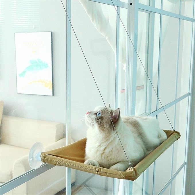 Cat Purrfect Perch, 2023 New Cat Bed Window, Cat Window Hammock Window Perch, Safety Cat Shelves Space Saving Window Mounted Cat Seat for Window Perch for Large Indoor Cats (C-Purple)