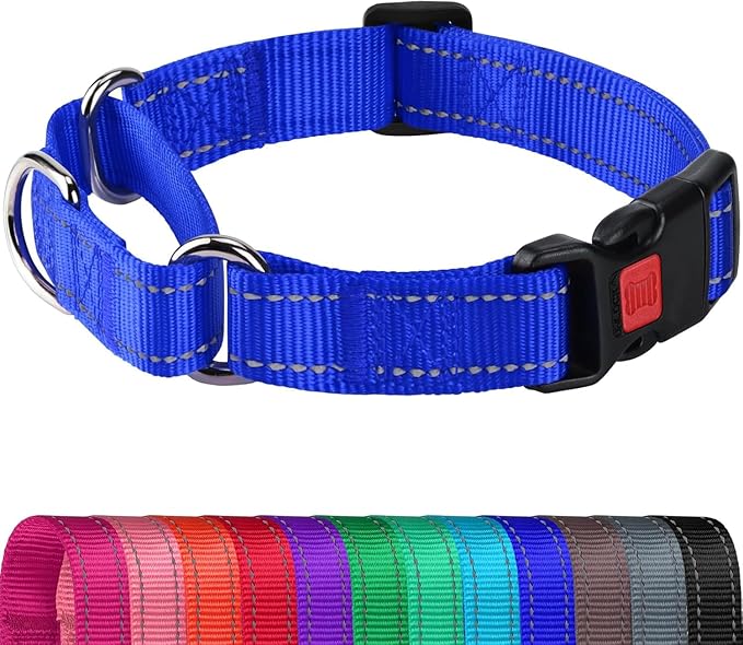 Joytale Martingale Collar for Dogs, Reflective Heavy Duty for Safety, Quick Release Buckle, Adjustable Nylon Collars for Puppy and XSmall Dogs Walking Training, Navy Blue,XS
