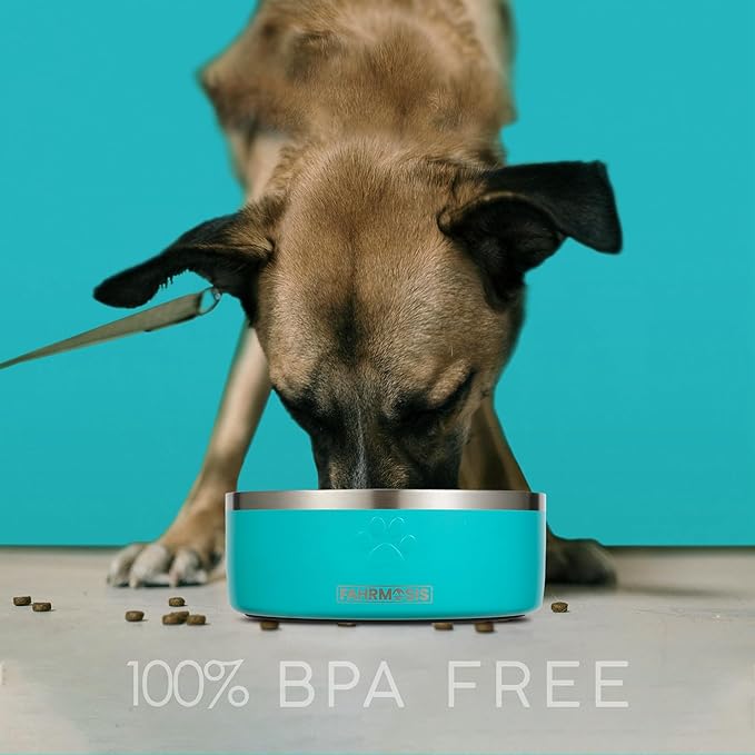32 Oz Dog Bowl with Slow Feeder Insert Stainless Steel Pet Water Bowl for Medium & Large Breed Non Slip Rubber Base & Plastic Puzzle Feeder - Teal