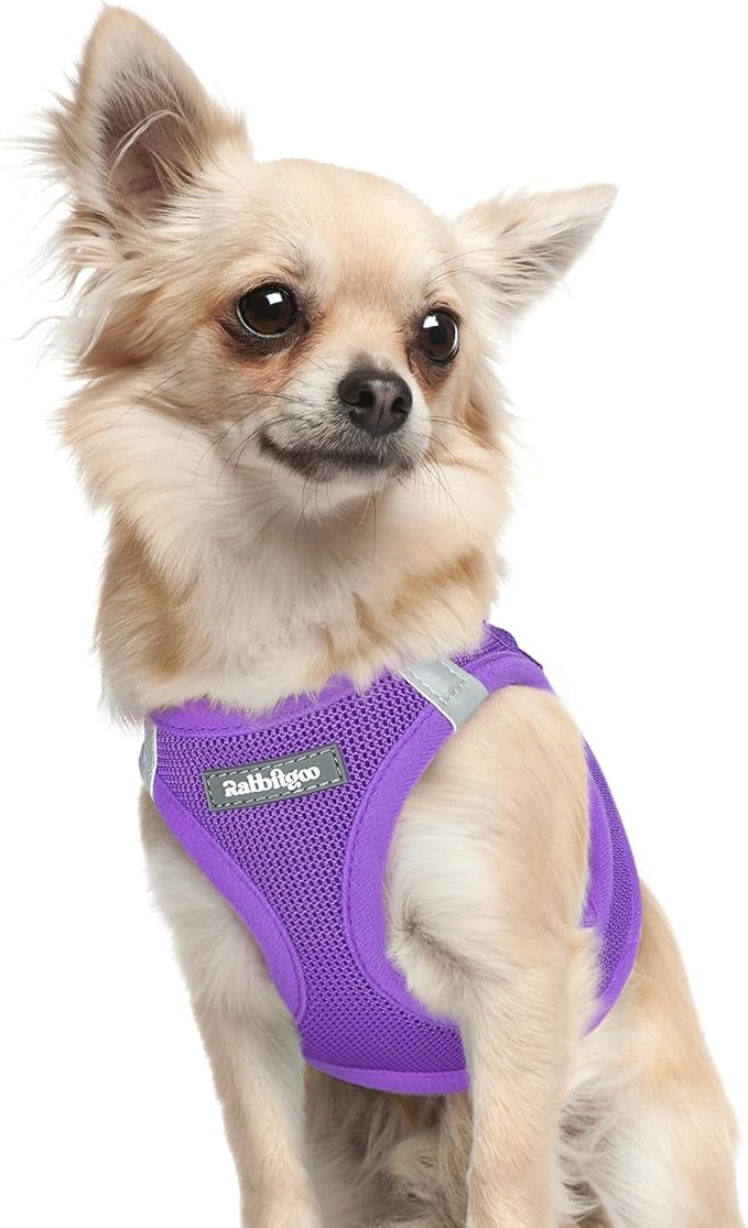 rabbitgoo Small Dog Harness, Step-in Soft Mesh Puppy Vest with Safety Buckle, Breathable Reflective Pet Harness for Extra Small Dogs, Purple XXXS
