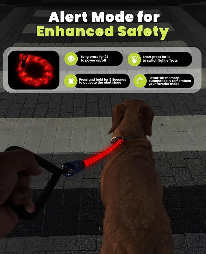 Light Up Dog Leash, LED Pet Leash for Night Walking,13 Lighting Modes, Rechargeable Dog Lights, Glow in The Dark Walking Leashes with Tangle-Free Hook for Medium Large Dogs (Leash-5Ft)