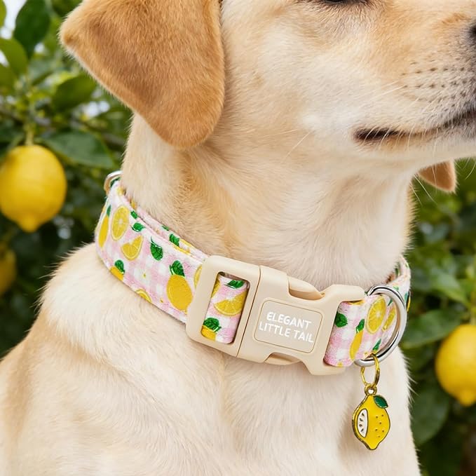 Elegant little tail Dog Collar, Pink Lemon Print Spring/Summer Soft Cotton Puppy Collars Adorable Female Pet Gift Lightweight Plastic Adjustable Dog Collar for Medium Dogs