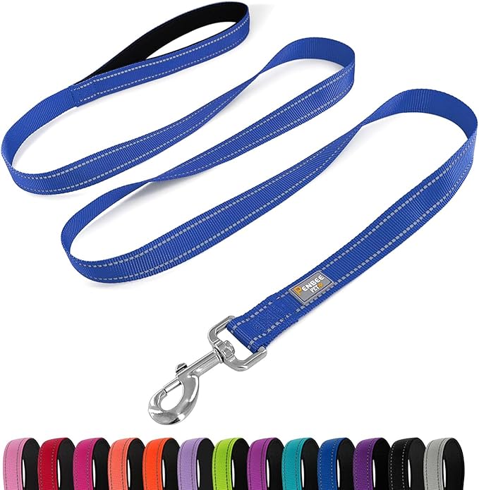 Dog Leash 6 FT Padded Handle Nylon Reflective Dogs Leashes for Medium Dogs Blue