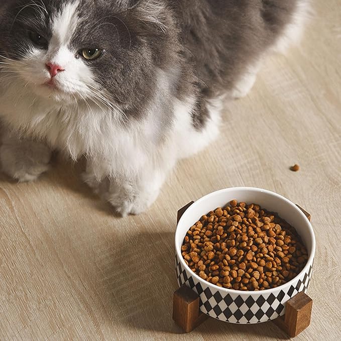 Petygooing Ceramic Dog Cat Bowl Set with Stand, Pet Food and Water Dishes,Small Dog Bowls Anti-Slip Set of 2 Cat Bowls-Pet Food Bowl- Pet Dish Small Medium Size Pet (28OZ/6.1 in) Black Rhombus
