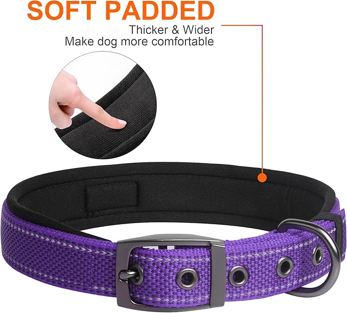 Fida Heavy Duty Dog Collar, Ultra Comfortable Soft Neoprene Padded, Adjustable Reflective Nylon Pet Collar with Durable Metal Belt Buckle for Small Breeds (S, Purple)
