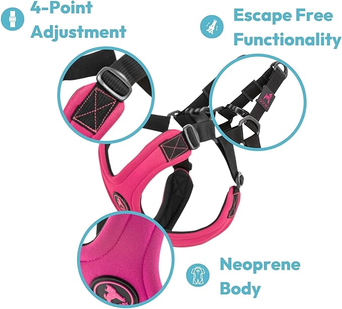 Gooby Escape Free Sport Harness - Turquoise, Medium - No Choke Step-In Patented Neoprene Small Dog Harness, Four-Point Adjustment - Perfect on the Go Dog Harness for Medium Dogs No Pull and Small Dogs