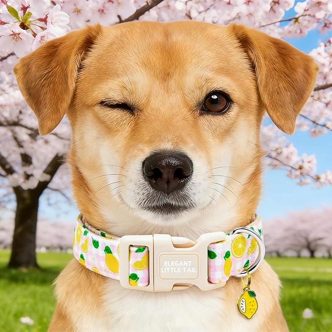 Elegant little tail Dog Collar, Pink Lemon Print Spring/Summer Soft Cotton Puppy Collars Adorable Female Pet Gift Lightweight Plastic Adjustable Dog Collar for Small Dogs