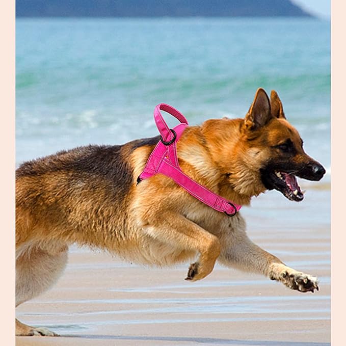 No Pull Dog Harness Pink for Small Medium Large Sized Dog, Reflective Escape Proof Adjustable Dog Harnesses with 2 Patch, M