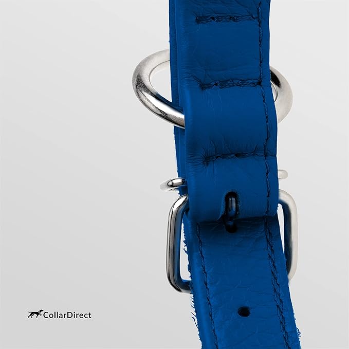 CollarDirect Rolled Leather Dog Collar, Soft Padded Round Puppy Collar, Handmade Genuine Leather Collar Dog Small Large Cat Collars 13 Colors (6-7 Inch, Deep Blue Textured)