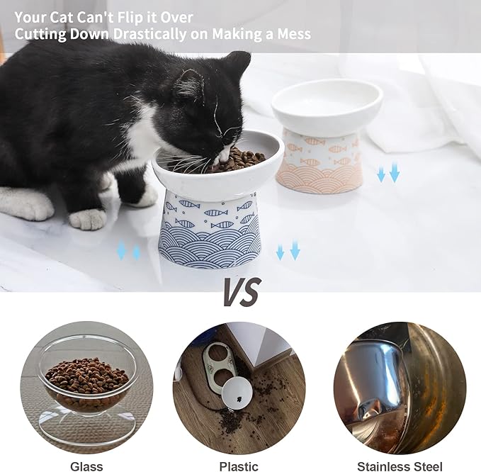 OMAYKEY Ceramic Raised Cat Bowls, Elevated Tilted Cat Food and Water Bowls Set, Porcelain Stress Free Pet Feeder Dish for Cats and Small Dogs, Dishwasher and Microwave Safe, Set of 2