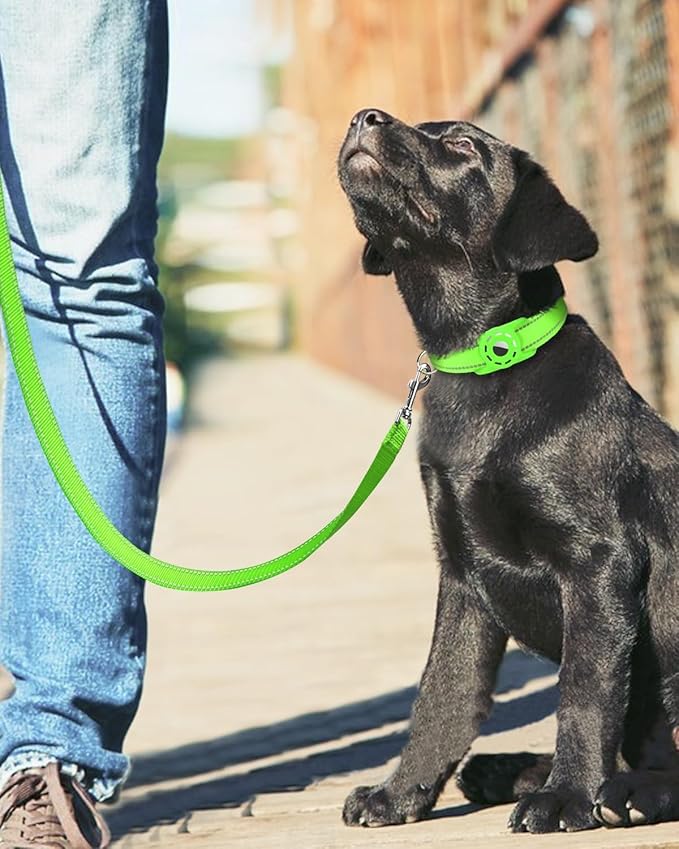 Reflective Dog Leash 6ft Soft Padded Handle Nylon Lead for Medium & Large Dogs, Durable Walking Training Leash for Night Safety (Green,1Inch Wide)