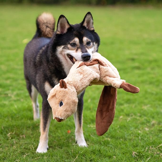 Best Pet Supplies Squeaky Dog Toys with Soft Durable Fabric for Small, Medium and Large Pets Interactive Toy for Indoor Play, Supports Active Biting and Play - 4 Figures, Small