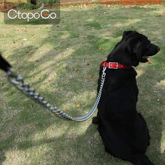 CtopoGo Heavy Duty Dog Leash,Metal Dog Chain Leash with Padded Handle for Large & Medium Size Dogs (4 ft. x 3.0 mm (0-80 lbs.))