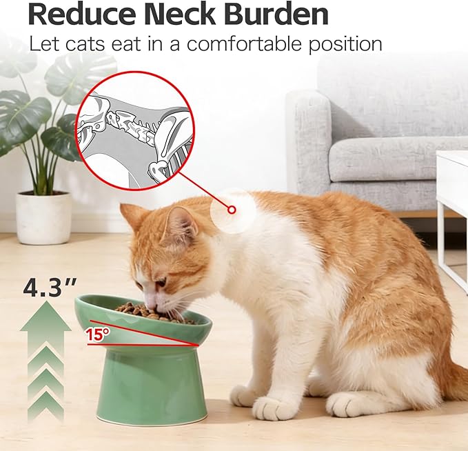 YauYik Raised Cat Bowl, Elevated Cat Food Bowls with Tilted Angle, Stress Free, Anti Vomiting, Ceramic Water Bowl for Cats Small Dogs Feeding Dish, 8 Ounces (Green-1)