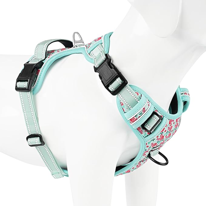 Timos Dog Harness, No-Pull Pet Harness with 2 Leash Clips, 3 Snap Buckles Adjustable Soft Padded Dog Vest, Reflective No-Choke Pet Oxford Vest with Easy Control Handle for Small Medium Large Dogs